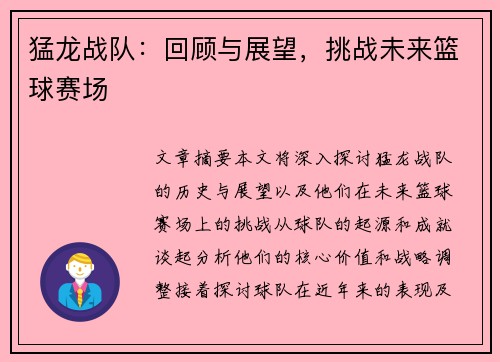 猛龙战队：回顾与展望，挑战未来篮球赛场